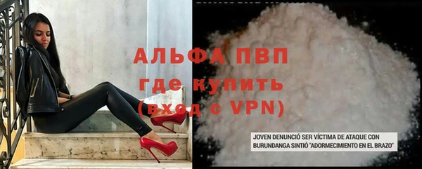 jwh Пересвет