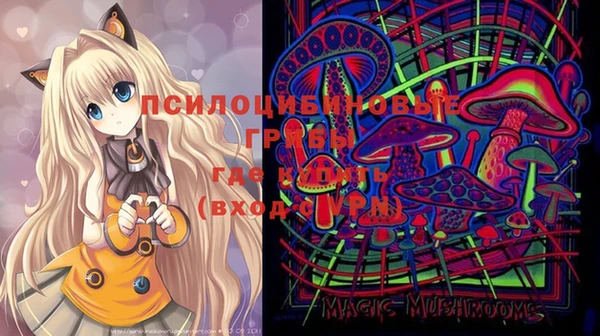 эйфоретик Пестово