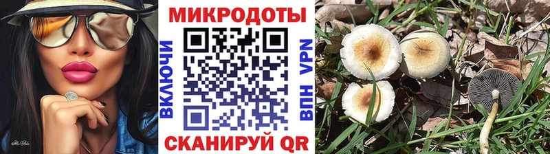 Псилоцибиновые грибы Magic Shrooms  Собинка 